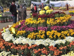 http://www.hindustantimes.com/Images/popup/2014/12/FLOWERSHOW_compressed.jpg