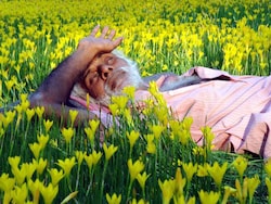 http://www.hindustantimes.com/Images/popup/2014/12/nap_compressed.jpg