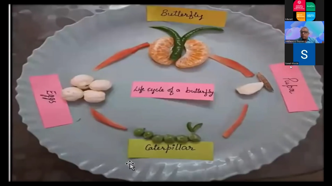 Butterfly life cycle model made with everyday materials Butterfly life cycle model made with everyday materials