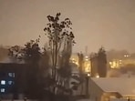 Video shows birds huddled on a tree top. Video shows birds huddled on a tree top.