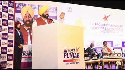 Mann said the main objective of organising industry interactions, was to ensure maximum participation of the local industry in the summit. (HT photo) Mann said the main objective of organising industry interactions, was to ensure maximum participation of the local industry in the summit. (HT photo)