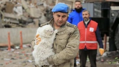 Rescue officials carry a Turkish cat which was saved from a rubble in earthquake-hit Turkey. (Abier Khatib/Twitter) Rescue officials carry a Turkish cat which was saved from a rubble in earthquake-hit Turkey. (Abier Khatib/Twitter)