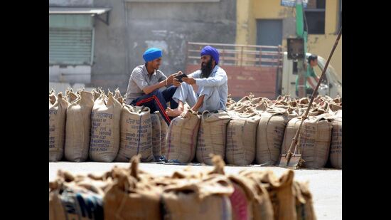 After the Center fixed the state allocation under the scheme to 2.12 lakh tonne wheat against requirement (as per the current figures) of 2.36 lakh tonne imposing a cut of 24,000 tonne. (HT file photo)