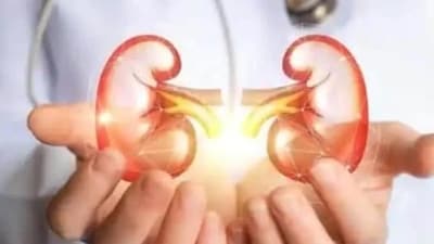 Risk factors of chronic kidney disease in children: Study Risk factors of chronic kidney disease in children: Study