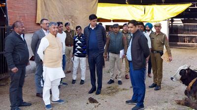 Days after over 45 cows died at a municipal corporation (MC)-run gaushala in Phoosgarh village of Karnal, Congress on Tuesday protested against the state government for alleged lapses and accused them of shielding “real culprits”. (HT File)