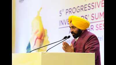 Mann said Punjabis are born to be “number one” as they have traits of hard work and dedication in their blood. (HT Photo)