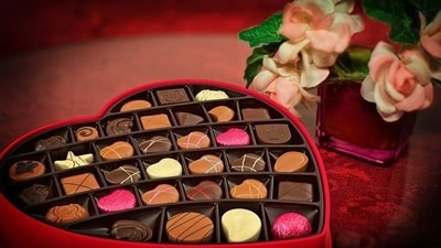 Valentine’s Day 2023: How to improve your love life as per your zodiac sign. (Pixabay) Valentine’s Day 2023: How to improve your love life as per your zodiac sign. (Pixabay)