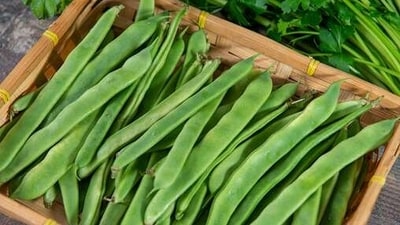 Flat beans: Called as 'Nishpava' in sanskrit. It is heavy, aggravates both vata, pitta and is bad for sperm health and not good for bleeding disorders. (istockphoto) Flat beans: Called as 'Nishpava' in sanskrit. It is heavy, aggravates both vata, pitta and is bad for sperm health and not good for bleeding disorders. (istockphoto)