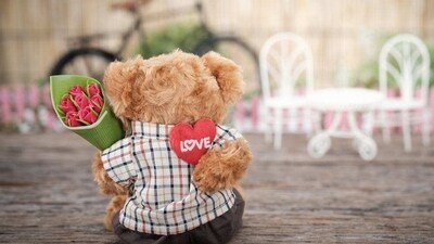 Teddy Day (February 10): The pampering continues with Teddy Day and while the best gift on this day is a cuddlesome teddy bear, if you want to avoid getting predictable, there are a number of creative gifts you can make on your own, get customised, or purchase. Bake a teddy-themed cake, or get them a teddy bear T-shirt, mug or keychain that will keep memory of this special day fresh. (Pexels) Teddy Day (February 10): The pampering continues with Teddy Day and while the best gift on this day is a cuddlesome teddy bear, if you want to avoid getting predictable, there are a number of creative gifts you can make on your own, get customised, or purchase. Bake a teddy-themed cake, or get them a teddy bear T-shirt, mug or keychain that will keep memory of this special day fresh. (Pexels)