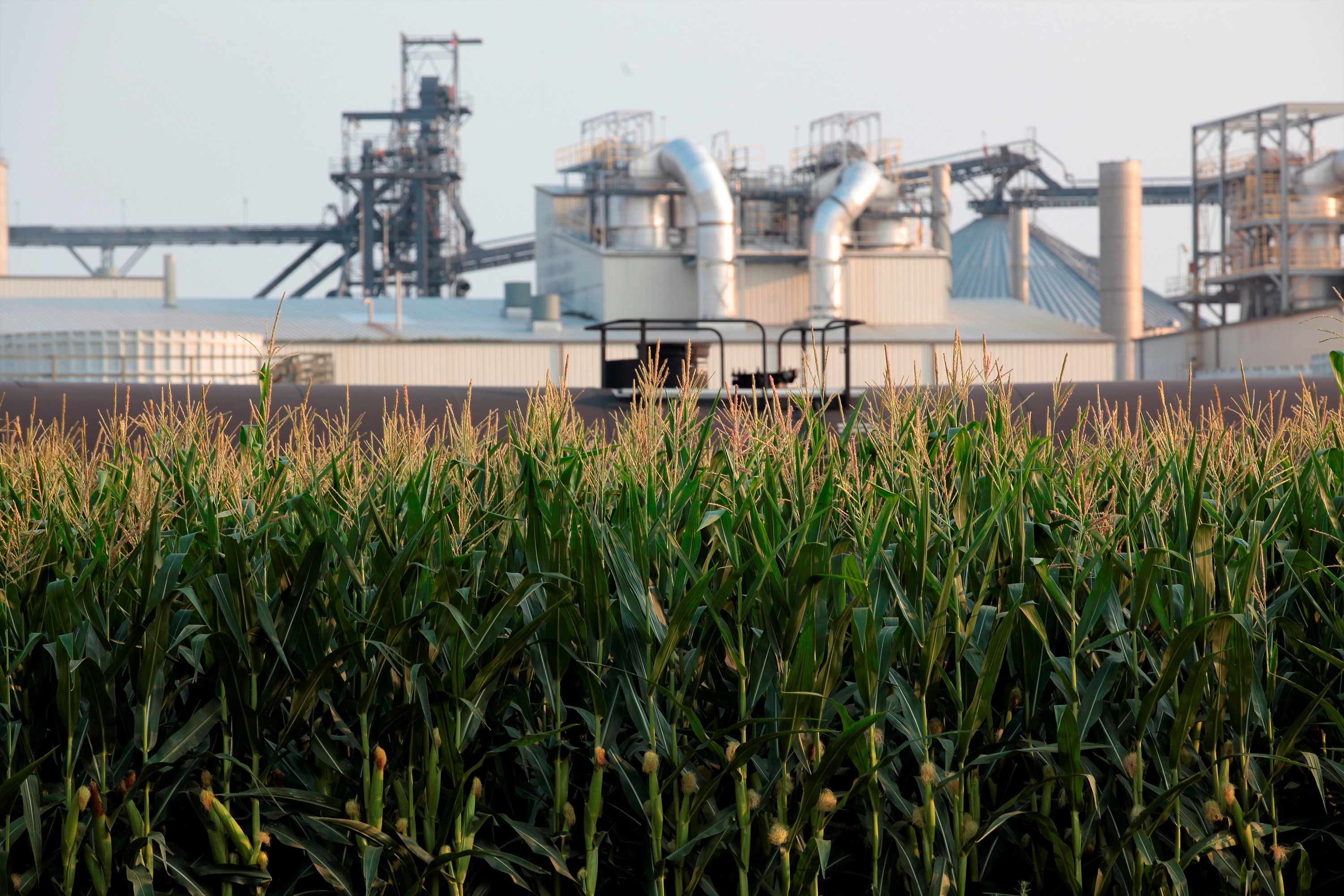The climate impact depends on how the ethanol is produced, not just how it is used. The climate impact depends on how the ethanol is produced, not just how it is used.