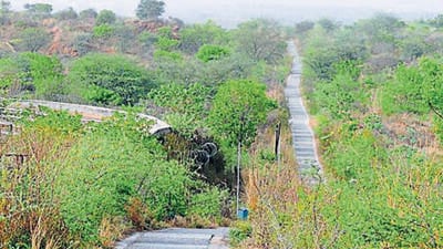 Eighteen scientists led by Bengaluru’s National Centre for Biological Sciences conducted the study. (HT PHOTO) Eighteen scientists led by Bengaluru’s National Centre for Biological Sciences conducted the study. (HT PHOTO)