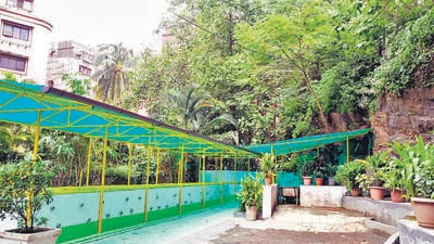 The Green Field Rocks End CHS in JVLR , has transformed a dump yard in its compound to a verdant and beautiful space where events are now held. (HT PHOTO) The Green Field Rocks End CHS in JVLR , has transformed a dump yard in its compound to a verdant and beautiful space where events are now held. (HT PHOTO)
