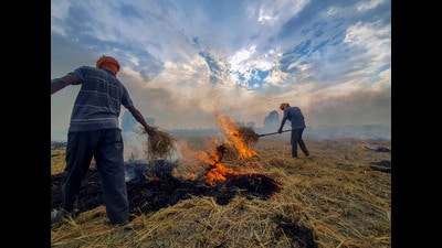 While there is only one factory in the district which uses paddy straw as fuel in the boiler instead of coal, four more factories are setting up new boilers based on paddy straw in Mohali. (PTI) While there is only one factory in the district which uses paddy straw as fuel in the boiler instead of coal, four more factories are setting up new boilers based on paddy straw in Mohali. (PTI)