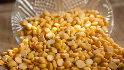 Diabetes: 6 ways pulses can help prevent blood sugar spikes (Pixabay) Diabetes: 6 ways pulses can help prevent blood sugar spikes (Pixabay)