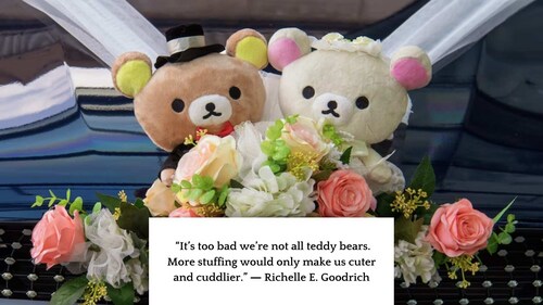 Message for Teddy Day 2023. (Image/@unsplash) Message for Teddy Day 2023. (Image/@unsplash)