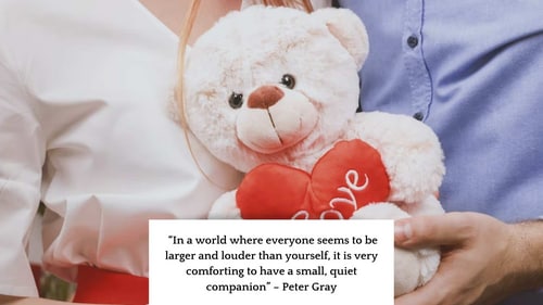 Message for Teddy Day 2023. (Instagram/@unsplash) Message for Teddy Day 2023. (Instagram/@unsplash)