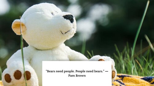 Message for Teddy Day 2023. (Image/@unsplash) Message for Teddy Day 2023. (Image/@unsplash)