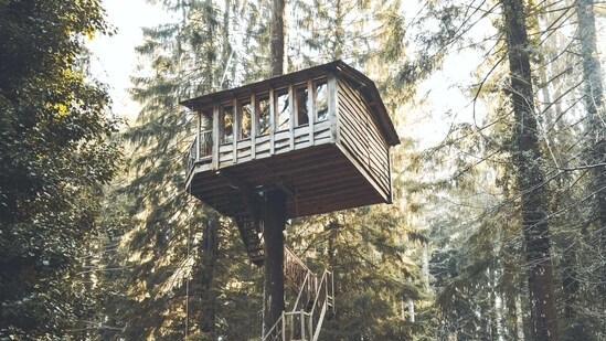 Stay at a treehouse: Another must-do experience in Gokarna is living in a treehouse at the Nirvana farm from where you will get a fantastic view of the Nirvana Beach coastline.&nbsp;(Unsplash)