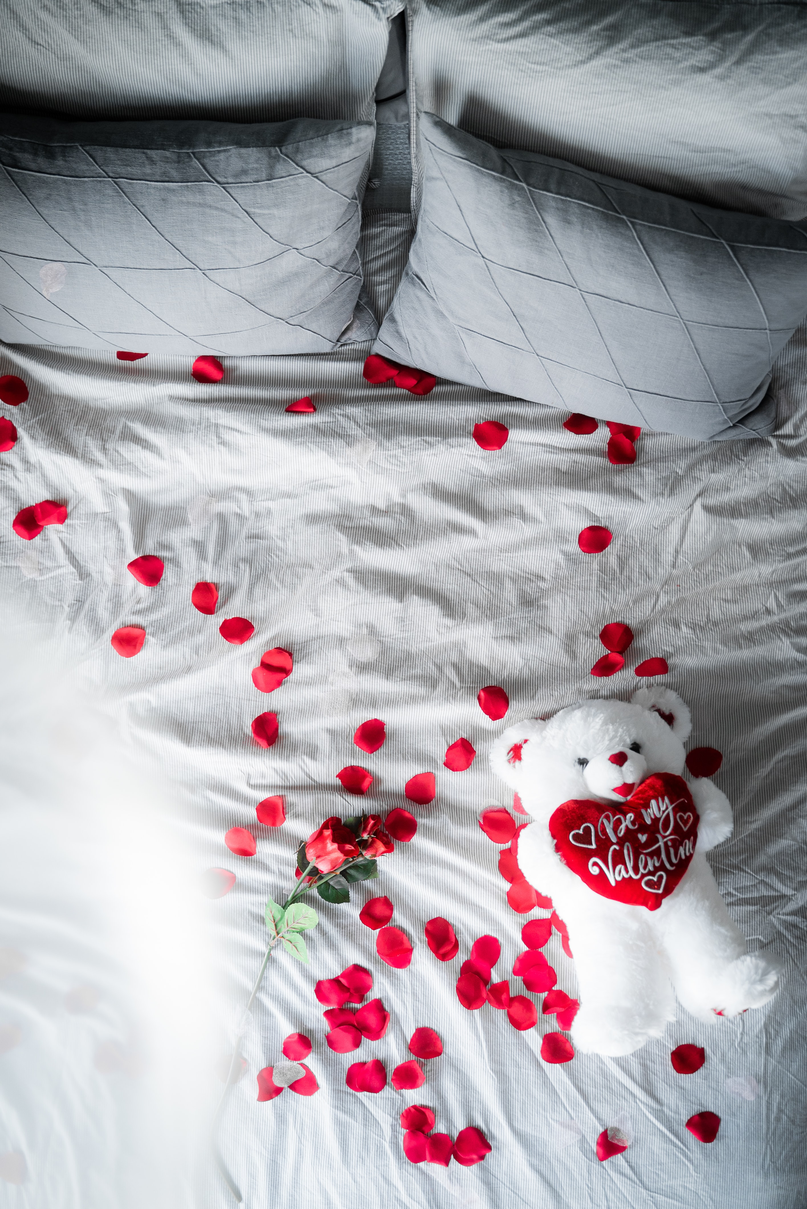 Peronalised teddy bear with special message is very romantic and thoughtful gift. (Unsplash) Peronalised teddy bear with special message is very romantic and thoughtful gift. (Unsplash)