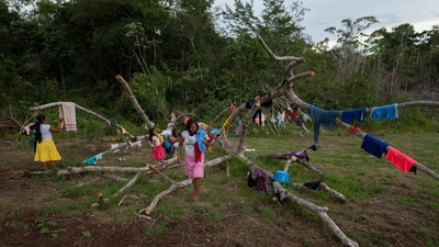 Siekopai indigenous women seen drying their clothes on tree branches in the Amazon region in Lagartococha. During the war between the neighbors from 1941 to 1998, intense fighting drove them from Pe'keya -- which the Siekopai claim once stretched some three million hectares (7.4 million acres) along the Lagartococha River, which forms part of the Ecuador-Peru border. (Pedro Pardo / AFP) Siekopai indigenous women seen drying their clothes on tree branches in the Amazon region in Lagartococha. During the war between the neighbors from 1941 to 1998, intense fighting drove them from Pe'keya -- which the Siekopai claim once stretched some three million hectares (7.4 million acres) along the Lagartococha River, which forms part of the Ecuador-Peru border. (Pedro Pardo / AFP)