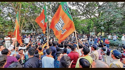The BJP is contesting 20 seats in Nagaland. (HT PHOTO)