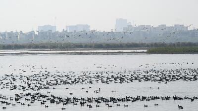 The predominant surface wind is likely to be calm in the morning hours and will be coming from the northwest in Delhi-NCR with a wind speed 20-25kmph and mainly clear skies are expected. (Sunil Ghosh/HT Photo) The predominant surface wind is likely to be calm in the morning hours and will be coming from the northwest in Delhi-NCR with a wind speed 20-25kmph and mainly clear skies are expected. (Sunil Ghosh/HT Photo)