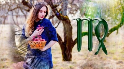 Virgo Daily Horoscope Today for February 11, 2023: It seems to be a favorable day for the Virgo natives.