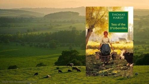 Tess of the D’Urbevilles. Tess of the D’Urbevilles.
