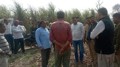 Villagers claim leopard sighting in Ghaziabad’s Bhojpur