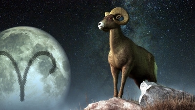 Aquarius Weekly Horoscope for February 12-18, 2023  Professionally, Aries people might succeed this week.