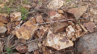 Ore containing lithium found in J&K’s Reasi district. (ANI) Ore containing lithium found in J&K’s Reasi district. (ANI)