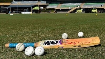 Cricket generic image (Getty) Cricket generic image (Getty)