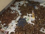 According to the officials, it was the largest seizure since mid-2015. According to the officials, it was the largest seizure since mid-2015.