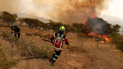 Firefighters try to extinguish a wildfire in Ninhue, Chile. (REUTERS)