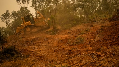 Chile wildfires have left 24 people dead and more than 2,000 injured, while destroying more than 4,40,000 hectares (1.1 million acres) of forest in the regions of Biobio, La Araucania, Nuble and Maule, an area equal to that of Puerto Rico. Authorities recently informed that the fire is beginning to ease in the region. (AP) Chile wildfires have left 24 people dead and more than 2,000 injured, while destroying more than 4,40,000 hectares (1.1 million acres) of forest in the regions of Biobio, La Araucania, Nuble and Maule, an area equal to that of Puerto Rico. Authorities recently informed that the fire is beginning to ease in the region. (AP)