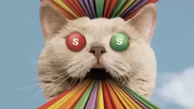 Skittles commercial that was never aired. Skittles commercial that was never aired.