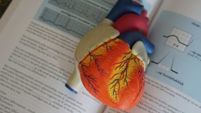 Coronary artery diseases: Lifestyle changes to prevent early heart attacks (Photo by Robina Weermeijer on Unsplash) Coronary artery diseases: Lifestyle changes to prevent early heart attacks (Photo by Robina Weermeijer on Unsplash)