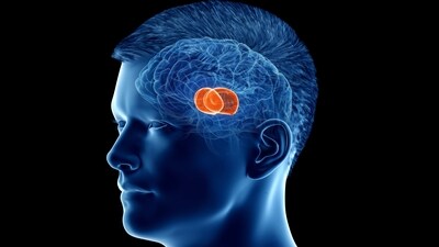 A recent scientific study showed the importance of mindfulness meditation and its role in managing pain. Here is why these findings are interesting and important. (Shutterstock) A recent scientific study showed the importance of mindfulness meditation and its role in managing pain. Here is why these findings are interesting and important. (Shutterstock)