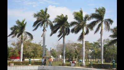Cold winds continued to blow in Chandigarh for the second consecutive day on Monday. (Sant Arora/HT)