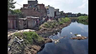 Ludhiana MC to launch drive against garbage dumping in Buddha Nullah Ludhiana MC to launch drive against garbage dumping in Buddha Nullah