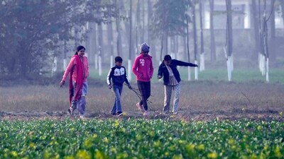A bunch of children enjoy the weather in Ludhiana on Thursday. (Gurpreet Singh/HT) A bunch of children enjoy the weather in Ludhiana on Thursday. (Gurpreet Singh/HT)