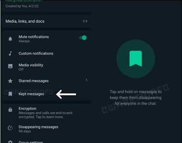 Screenshot shared by WABetaInfo