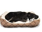 A boxer bed is a great accessory for pets to relax in.