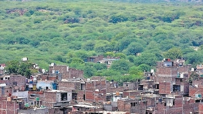 Haryana has a forest cover of only 3.63%, according to the Forest Survey of India. (HT file photo) Haryana has a forest cover of only 3.63%, according to the Forest Survey of India. (HT file photo)