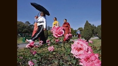 Visitors enjoying sunny weather at the Rose Garden, Sector 16, in Chandigarh on Wednesday. Chandigarh mayor Anup Gupta said the Rose Festival in Chandigarh will commence from February 17 to 19. (Keshav Singh/ HT) Visitors enjoying sunny weather at the Rose Garden, Sector 16, in Chandigarh on Wednesday. Chandigarh mayor Anup Gupta said the Rose Festival in Chandigarh will commence from February 17 to 19. (Keshav Singh/ HT)