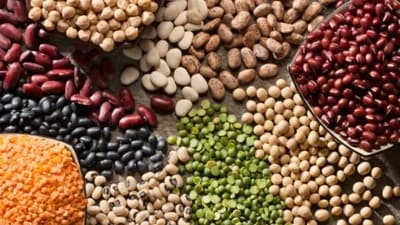 Beans are known for their varied health benefits. Even though they differ in size and colour, the variety of beans surprisingly share similar benefits, and they are manifold in nature. Speaking of the same, Nutritionist Anjali Mukerjee added, “Despite differences in shapes, sizes, colours, textures and flavours, beans are surprisingly similar in nutrient composition and health quotient. From heart health to immune boosting, beans are a powerhouse of vital nutrients.” (Unsplash) Beans are known for their varied health benefits. Even though they differ in size and colour, the variety of beans surprisingly share similar benefits, and they are manifold in nature. Speaking of the same, Nutritionist Anjali Mukerjee added, “Despite differences in shapes, sizes, colours, textures and flavours, beans are surprisingly similar in nutrient composition and health quotient. From heart health to immune boosting, beans are a powerhouse of vital nutrients.” (Unsplash)