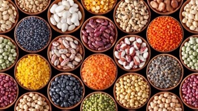 Beans are highly rich in fibre, and helps in providing sustained energy. They also help in lowering cholesterol levels and promoting a healthy digestive tract. (Unsplash) Beans are highly rich in fibre, and helps in providing sustained energy. They also help in lowering cholesterol levels and promoting a healthy digestive tract. (Unsplash)