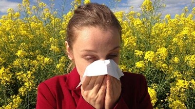 Pollen allergy: Runny nose to itchy throat; know symptoms of pollen allergy (Pixabay) Pollen allergy: Runny nose to itchy throat; know symptoms of pollen allergy (Pixabay)