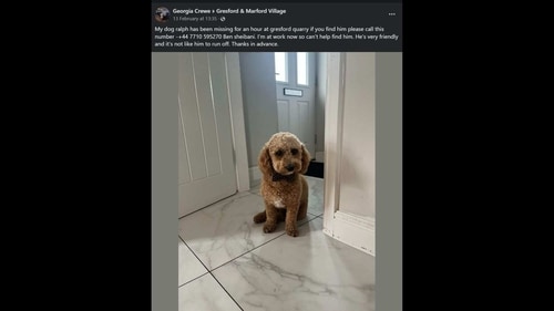 A screengrab of Georgia Crewe’s Facebook post. (Facebook/@georgia.crewe)