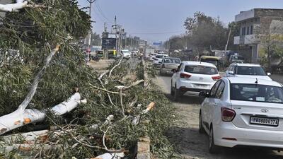 Fallen trees on Hambran road amid road widening project threw traffic out of gear in Ludhiana. (Gurpreet Singh/HT) Fallen trees on Hambran road amid road widening project threw traffic out of gear in Ludhiana. (Gurpreet Singh/HT)
